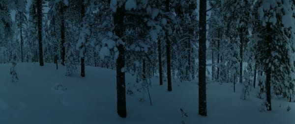 Chrystel Lebas, Between Dog and Wolf Untitled 11, 2005