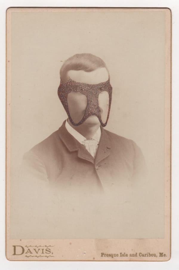 Tom Butler, Dave, 2015