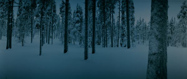 Chrystel Lebas, Between Dog and Wolf Untitled 8, 2005