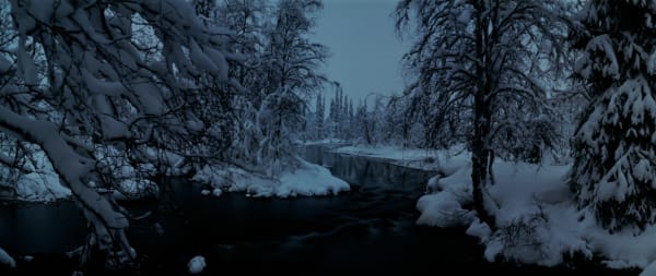 Chrystel Lebas, Between Dog and Wolf Untitled 9, 2005