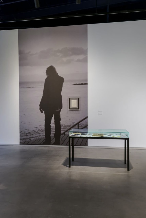 Coney Island Baby, 2014