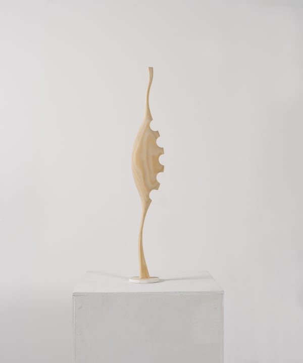 Jim Jack, Marquette for Sherwood Forest 3