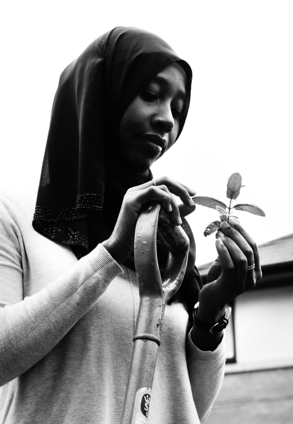 Michele Turriani, Ayan - Britannia Village Community Gardens, 2020