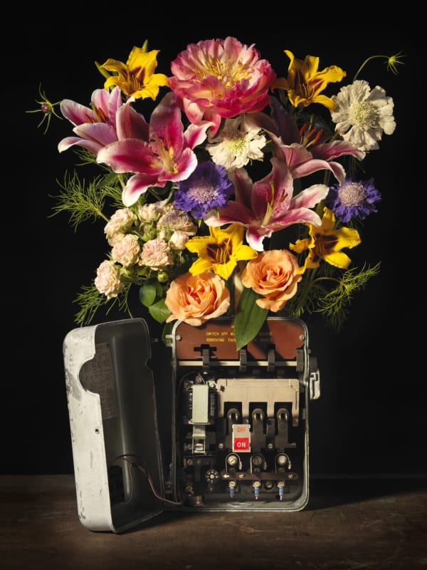 Michele Turriani, Safety Switch, 2019
