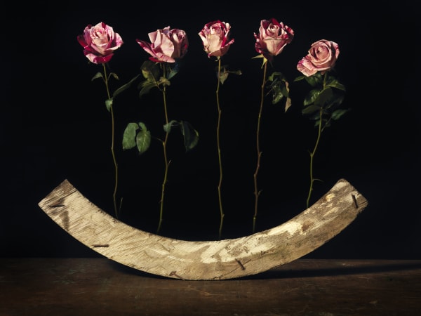 Michele Turriani, Plywood, 2019