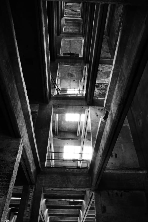 Michele Turriani, Millenium Mills, 2020
