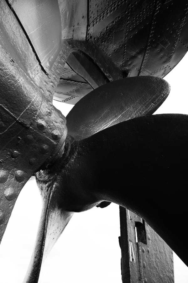 Michele Turriani, Steam Ship Robin, 2020