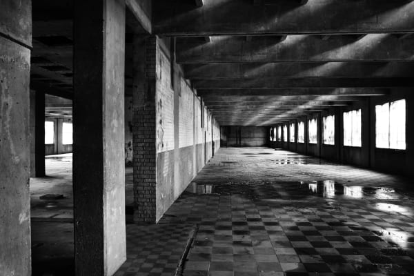 Michele Turriani, Millenium Mills, 2020