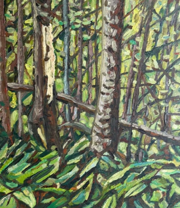Noel Paine, Spring Undergrowth