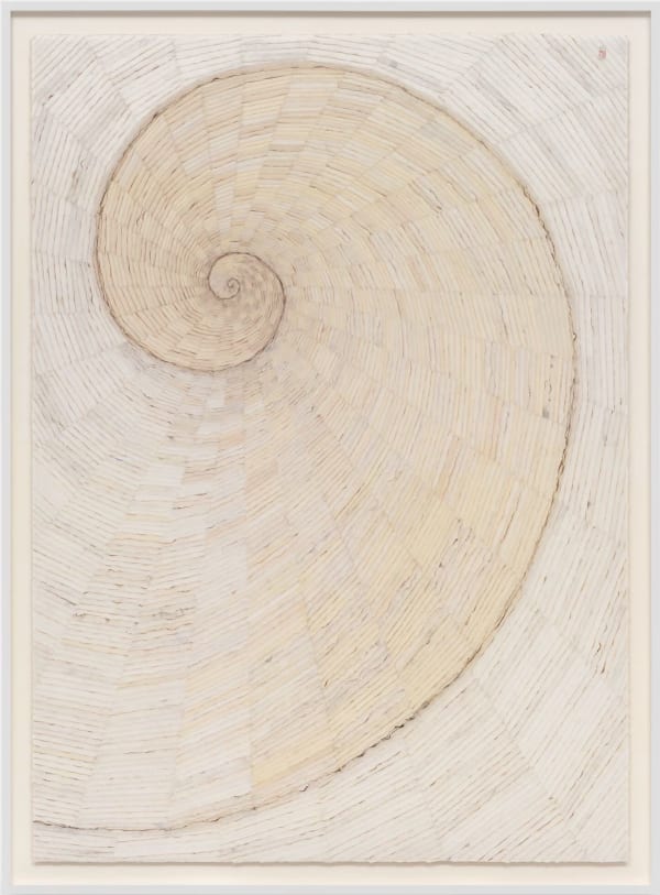 Minjung Kim, Nautilus, 2021