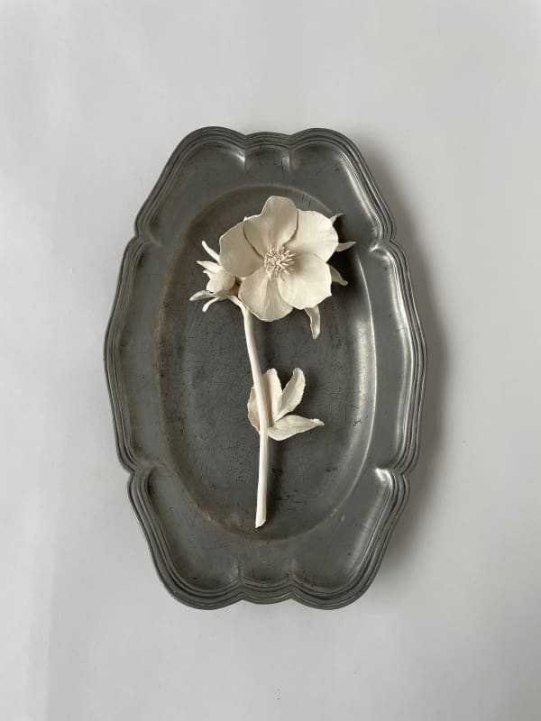 Kaori Tatebayashi, Hellebore, 2023