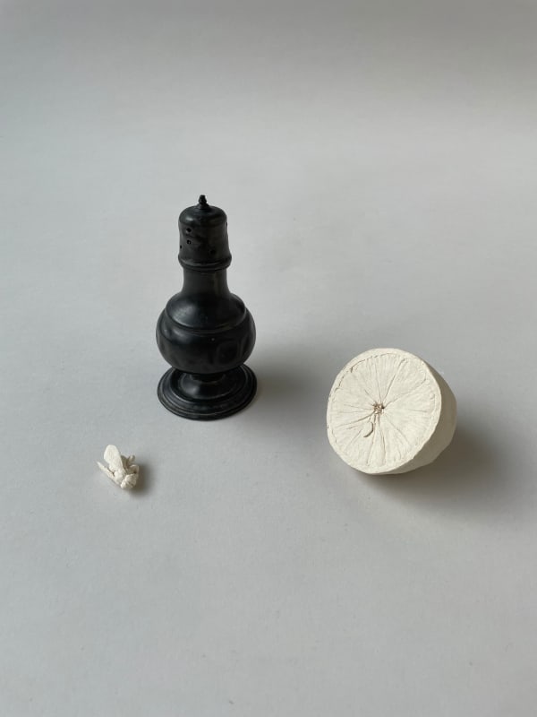 Kaori Tatebayashi, Lemon with Salt Shaker and Bee, 2023