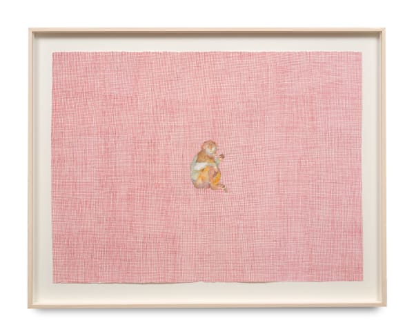 Paolo Colombo, Monkey IV, 2019