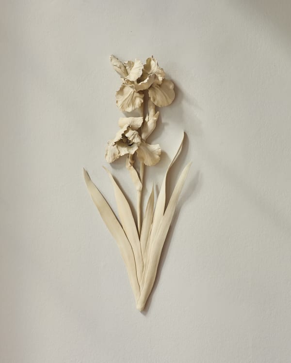 Kaori Tatebayashi, German Iris, 2024