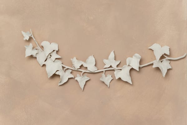 Kaori Tatebayashi, Broad Leaf Ivy, 2023