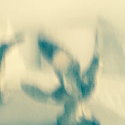 Carolyn Quartermaine, Bluebirds, 2022