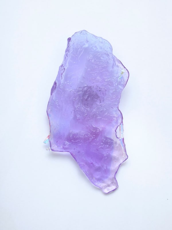 Lara Saget, Joshua Tree’s Skin, 2021