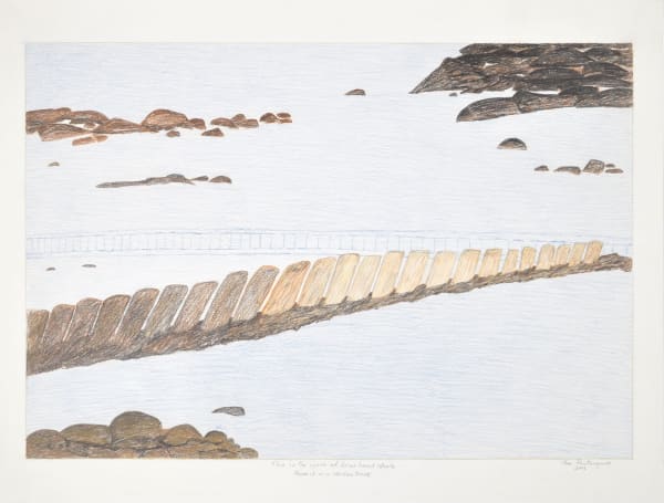 Itee Pootoogook, This is the spine of a bowhead whale; Above it is a skidoo track, 2011