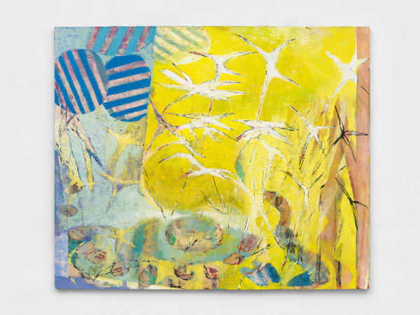 Ezra Cohen, Still life with seashells, 2023