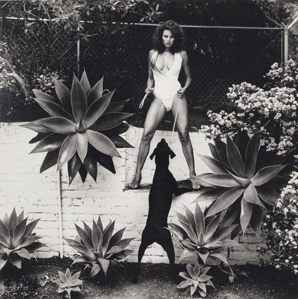 HELMUT NEWTON, Raquel Welch, 1980