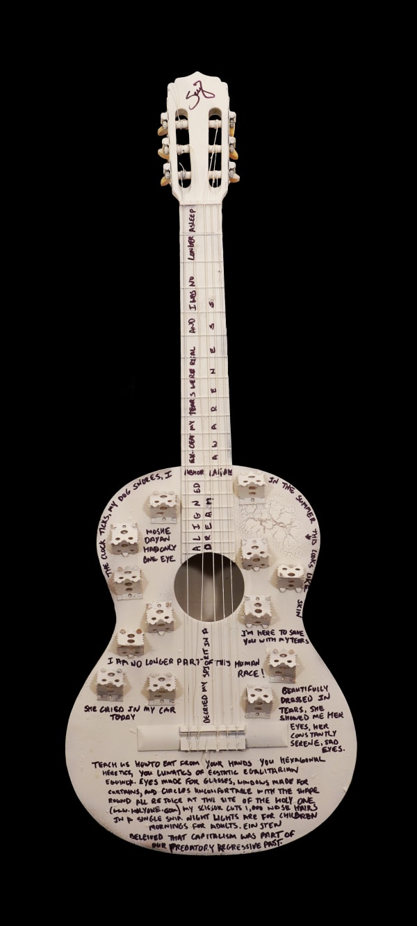 Serj Tankian, Guitar the Poet