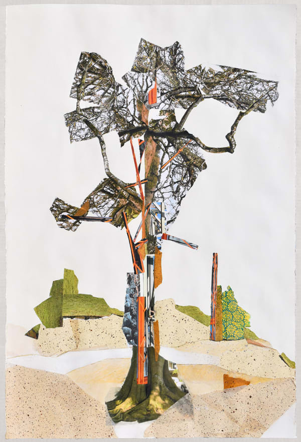 Jennifer Gunlock, Nesting Site #3, 2021