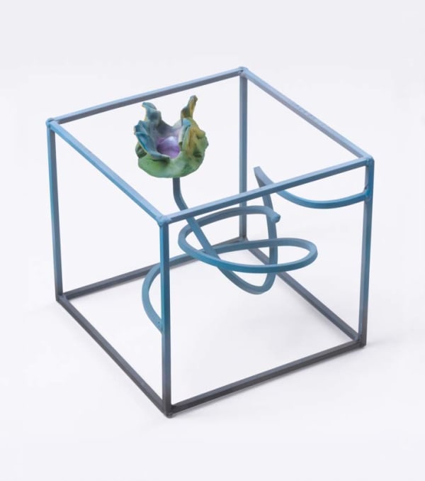 John David O'Brien, Pianta II (Melottiana), 2022