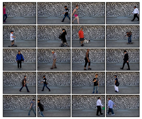 Ave Pildas, La Brea, 2014