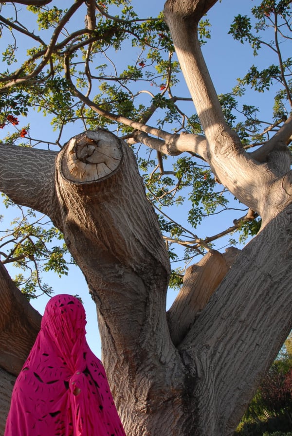 Luigia Gio Martelloni, The Nature of All Being Within Itself (Skin & Bone), 2015