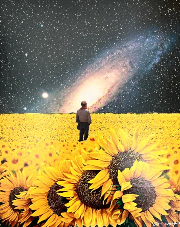 Joe Webb collage artist Heaven And Earth Sunflower Galaxy turner art perspective Essex Art Gallery
