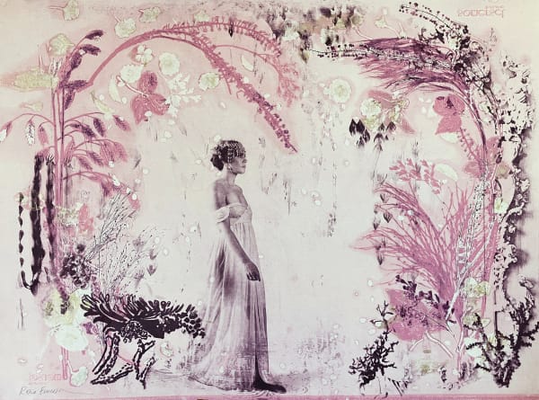 rosie emerson artist monoprint photopolymer etching figure fantasy feminine nature pink black beige turner art perspective essex art gallery