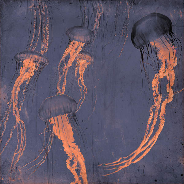 Stylised Photograph of jellyfish in green and pink by british artist Nadia Attura. Turner Art Perspective, Essex gallery