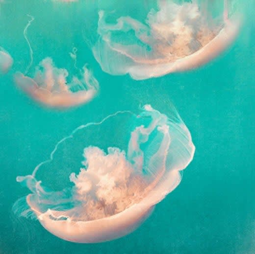 Nadia Attura, Monterey Cyan