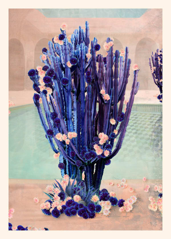Stylised photograph by artist nadia attura depicting a cactus with a swimming pool behind. Turner Art Perspective. Essex Gallery