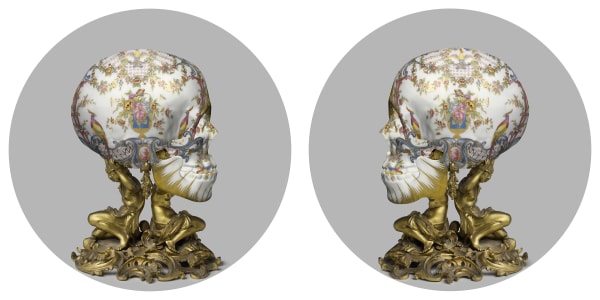 Male & female skulls