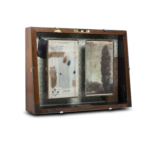 Claire Newman-Williams, In The Country, 2021