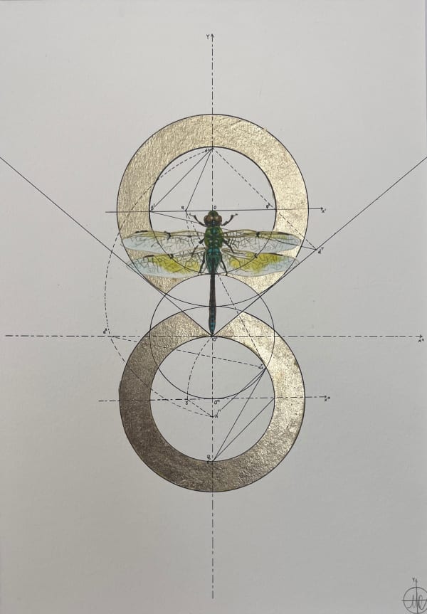 A geometrical illustration featuring a detailed dragonfly centered between two metallic gold rings, with precise lines, axes, and diagrammatic markings surrounding and intersecting the insect.