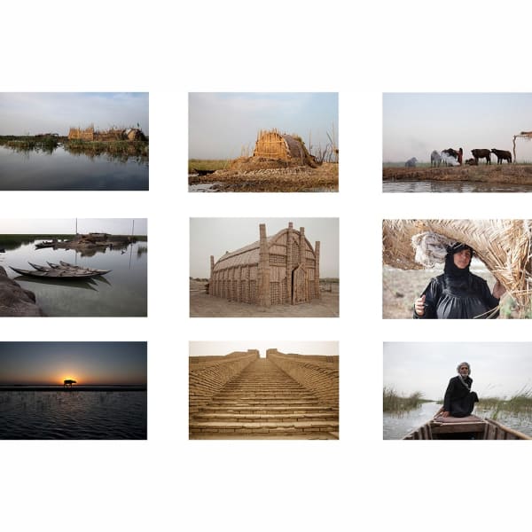 Meridel Rubenstein, From the Marshes, 2011-14