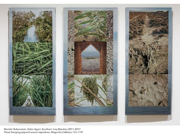 Meridel Rubenstein, Eden Again, 2011-17