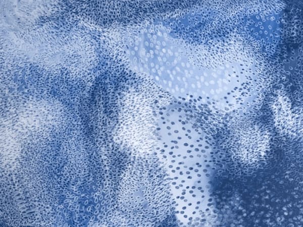 Alice Gauthier, J'ai effacé tes bords II, 2021