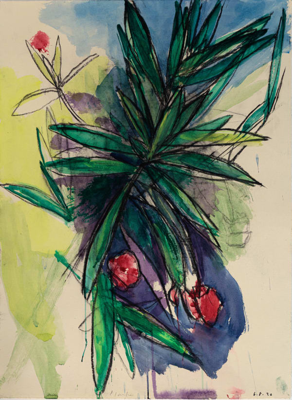 Daniel Clarke, Oleander VII, 2020