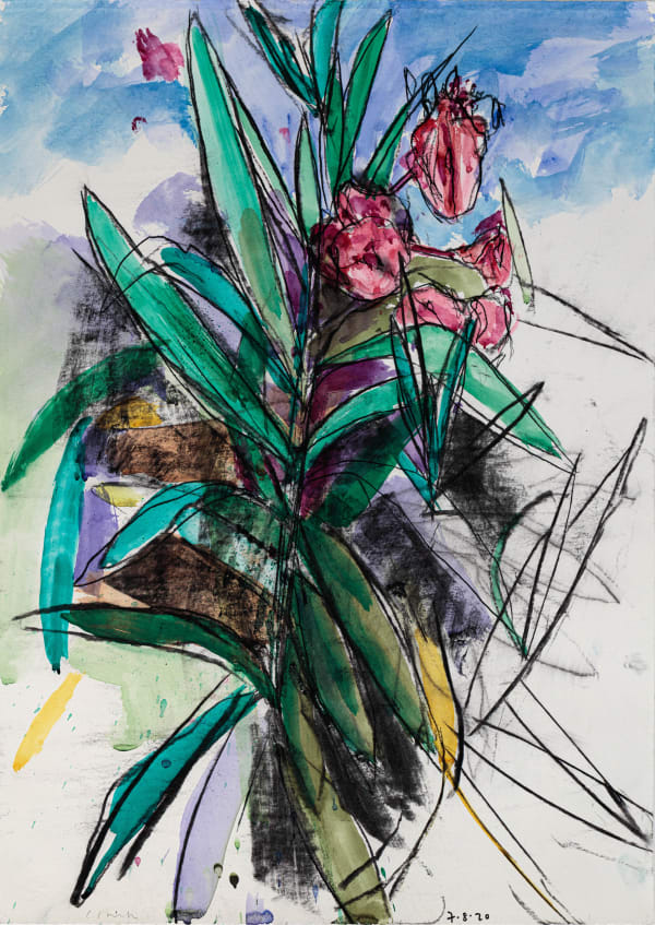 Daniel Clarke, Oleander V, 2020