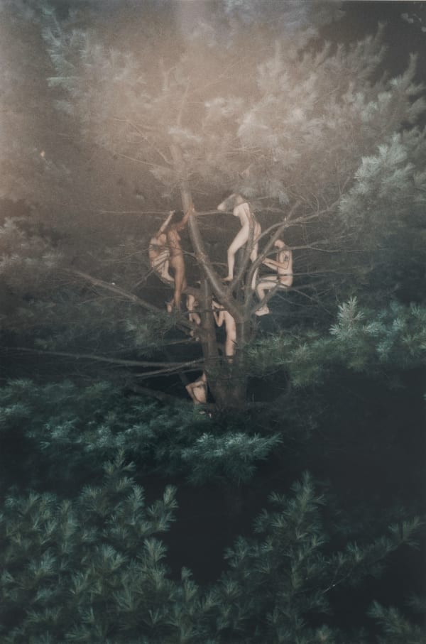 Ryan McGinley, Tree #3, 2003