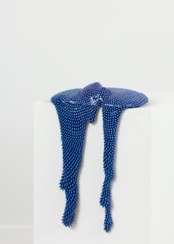 Dan Lam, Demure, 2016