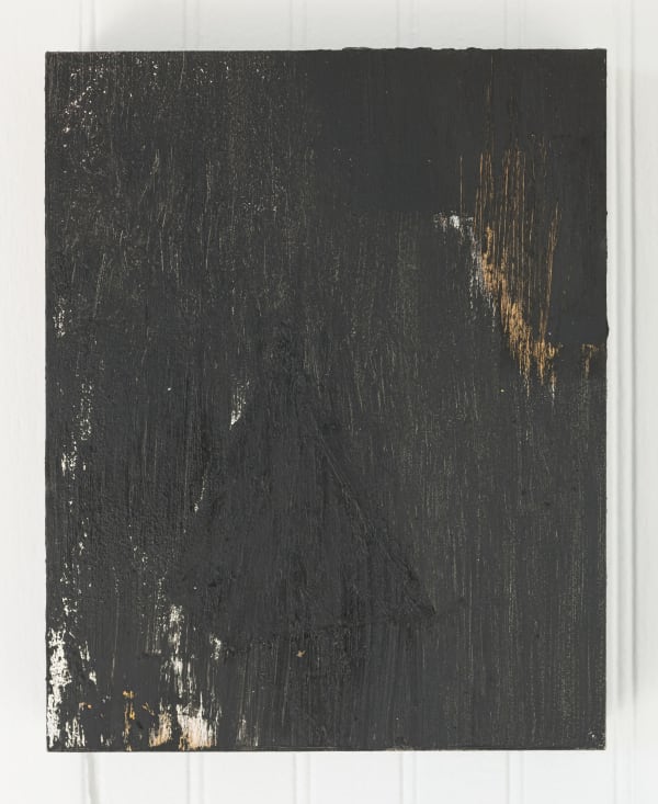 Harold Ancart, Nunquam Periise, 2009