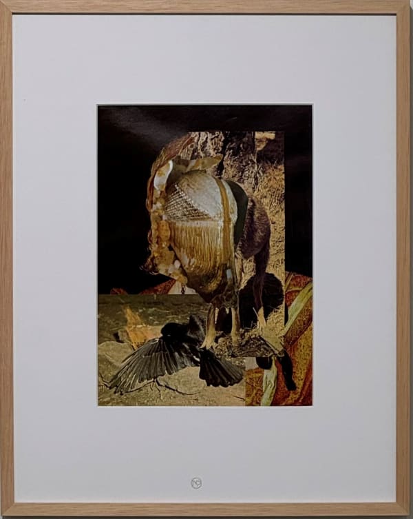 Nicolas Van Parys, Influencer, 2019