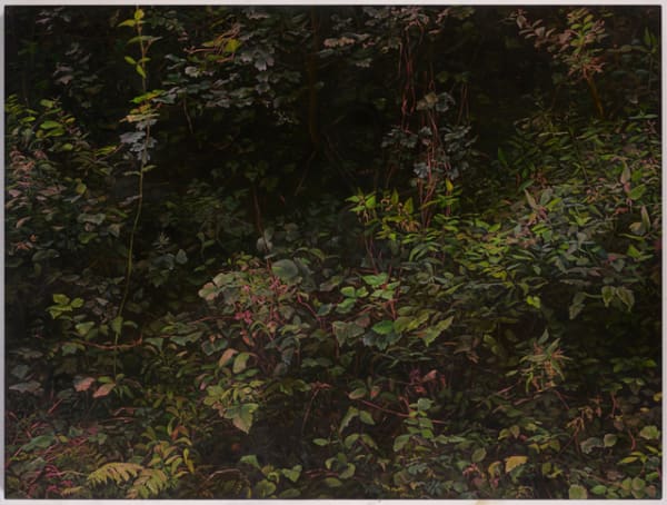 Hannah Brown Hedge 4, 2018 Oil on linen 150 x 200 cm