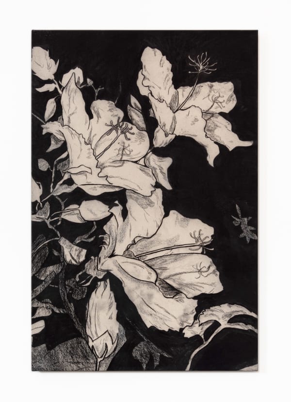 Benjamin Murphy Kari, 2022 Charcoal on canvas, fixed 120 x 80 cm