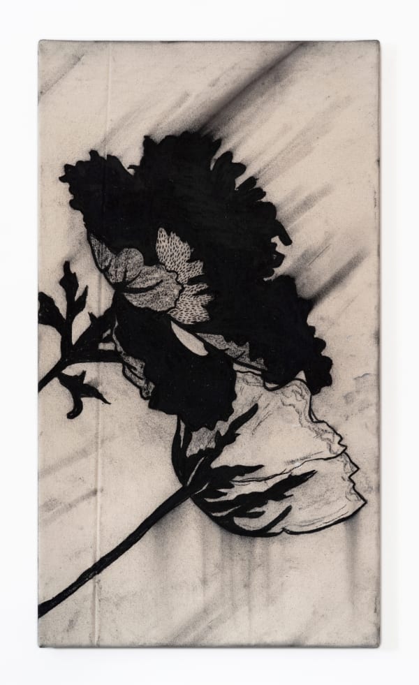 Benjamin Murphy Encelaedus, 2022 Charcoal on canvas, fixed 80 x 45 cm