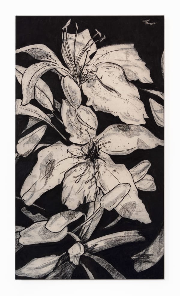 Benjamin Murphy Kiviuq, 2022 Charcoal on canvas, fixed 160 x 90 cm